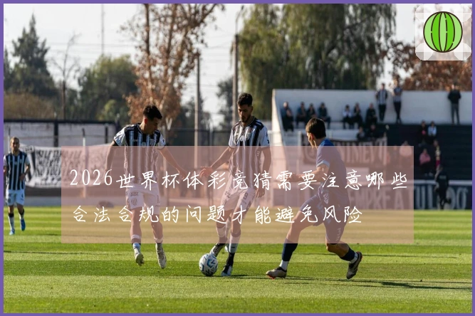 2026世界杯体彩竞猜需要注意哪些合法合规的问题才能避免风险