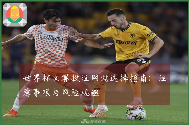 世界杯决赛投注网站选择指南：注意事项与风险规避