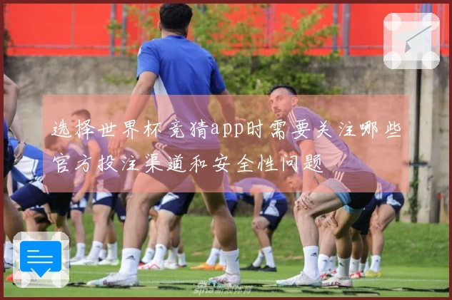 选择世界杯竞猜app时需要关注哪些官方投注渠道和安全性问题
