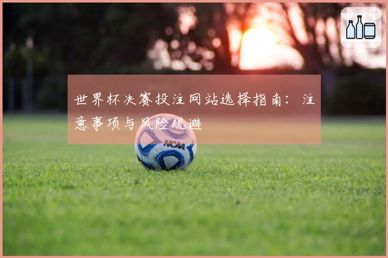 世界杯决赛投注网站选择指南：注意事项与风险规避