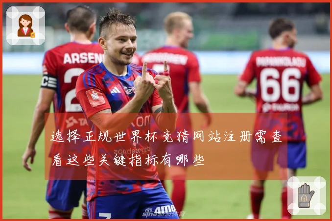 选择正规世界杯竞猜网站注册需查看这些关键指标有哪些