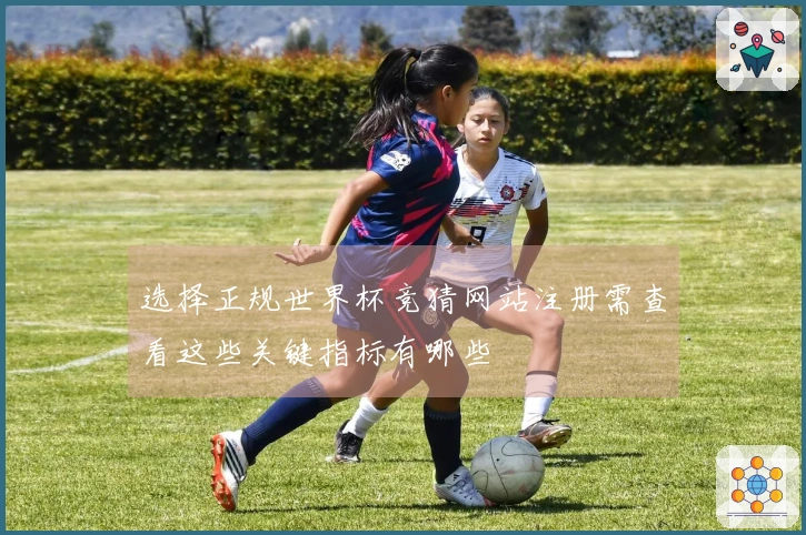 选择正规世界杯竞猜网站注册需查看这些关键指标有哪些